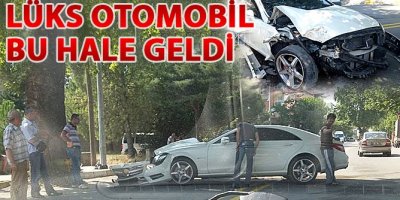 Lüks Otomobil Ağaca Çarptı