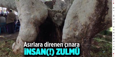 Doğanın En Büyük Düşmanı: İnsan