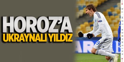 Denys Garmash Denizlispor ile temasta