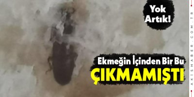 Denizli'nin Acıpayam İlçesinde Ekmekten Çıkan Şey Şoke Etti