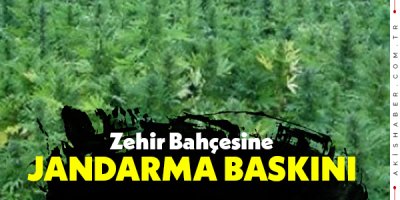 Denizli'de Uyuşturucu Tacirlerine Geçit Yok