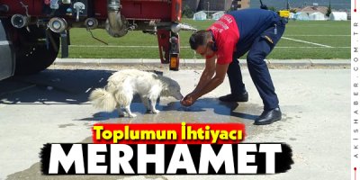 Toplumun İhtiyacı Merhamet