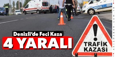 Köpeğe Çarpmak İstemeyen Araç Devrildi