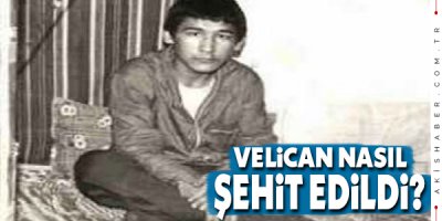Velican Oduncu Kimdir ? Çocuk Yaşta Nasıl Şehit Edildi ?
