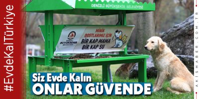 Büyükşehir'den Can Dostlara Yardım Eli