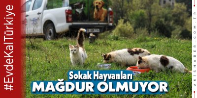 Can Dostlar Büyükşehir’e Emanet