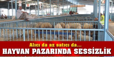 Hayvan pazarında sessizlik hakim