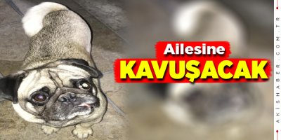 Denizli’de Kontrollere Takılan Mekanlara Ceza Yağdı