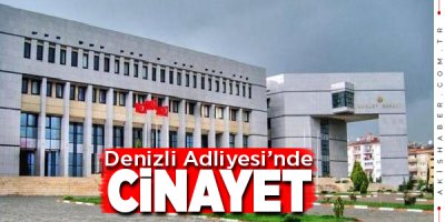 Denizli'de Darp Edilen Yaşlı Adam Yaşamını Yitirdi
