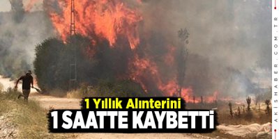 Denizli'de 8 Dönüm Ekili Alan Yandı