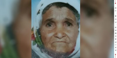Denizli'de 3 Padişah 12 Cumhurbaşkanı Gören Asırlık Çınar Yaşamını Yitirdi
