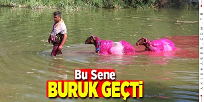 Çal'ın 847 Senelik Geleneği Temsili Olarak Yapıldı