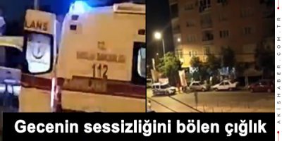 Kardeş kavgası kanlı bitti