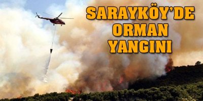 Sarayköy’de orman yangını