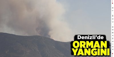 Denizli'de 25 Hektar Kül Oldu