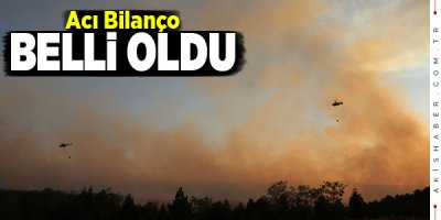Denizli'deki Yangın Kontrol Altına Alındı
