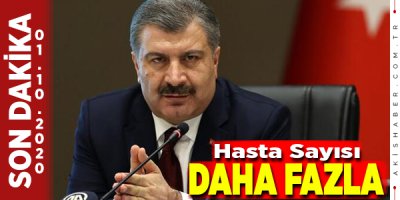 Korona Virüs 67 Can Daha Aldı