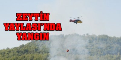 Zeytin Yaylası’nda yangın çıktı