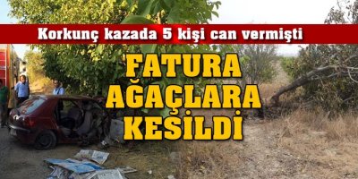 5 kişinin öldüğü kazanın faturası ağaçlara kesildi