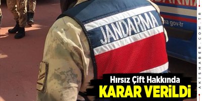 Denizli'de 22 Ayrı Suç Kaydı Olan Şahıs Tutuklandı