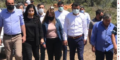 Pamukkale'nin Tescilli Kekiği Taş Ocağı Tehdidi Altında