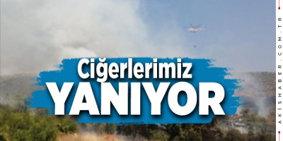 Denizli'de 15 Dekar Genç Ağaç Zarar Gördü