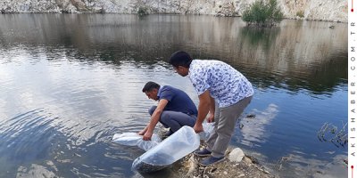 Göl ve Göletlere 210 Bin Yavru Sazan Balığı Bırakıldı