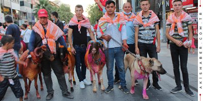 Denizli'de Mor Koyunlar Bayrama Hazır