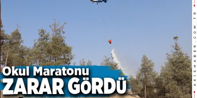 Denizli'de Orman Yangınına Hızlı Müdahale