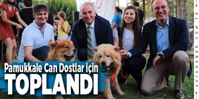 Denizli Pati Festivali'nde Eğlenceli Anlar Yaşandı