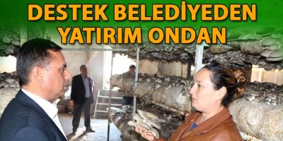 Hayata Mantarla Sarıldı