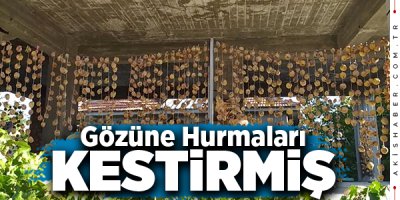 Denizli'de Hurma Hırsızı Jandarmadan  Kaçamadı