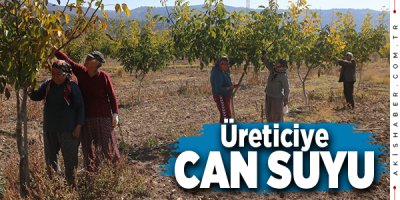 Çameli Belediyesi’nden Ceviz Üreticilerine Destek