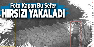 Denizli'de Odun Hırsızı Kamyonetiyle Yakalandı