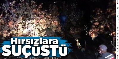 Denizli'de Cennet Elması Hırsızları Ağaçta Yakalandı