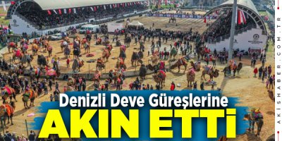 Denizli Deve Güreşlerinde Kupa Denizli'ye Gitti