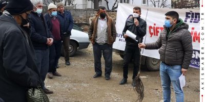 Denizli'de Ceviz Fidanı Dağıtımı Devam Ediyor