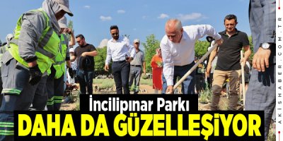 Denizli'de Çevre Haftası Etkinlikleri Devam Ediyor