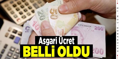 Asgari Ücret Temmuz Zammı Açıklandı