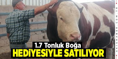 Denizli'de 1.7 Tonluk Boyka'nun Dudak Uçuklatan Fiyatı