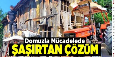 Denizli'de Domuz Beklemek için Traktör Kabinine Ranza Yaptı