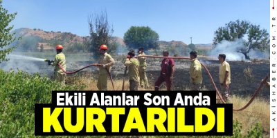 Denizli'de 50 Dönüm Kül Oldu