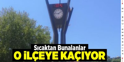 Sıcak Hava Çameli'ni Etkilemiyor