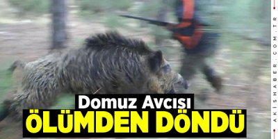 Denizli'de Avcı Yaban Domuzu Saldırısına Uğradı