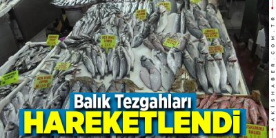 Denizli'de Tezgahlar Çinekop, Sardalya ve Hamsiyle Doldu
