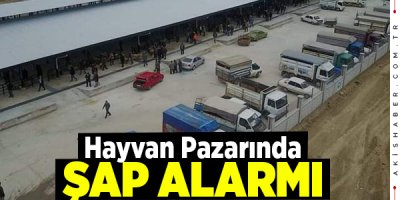 Çivril Hayvan Pazarı Kapatıldı