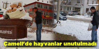 Çameli'de hayvanlar unutulmadı