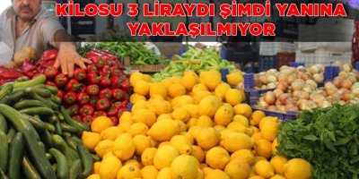Limon ve Yeşil Soğanın Fiyatı Uçtu