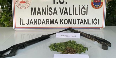 Sarıgöl’de Hint keneviri yetiştiren 3 kişi yakalandı