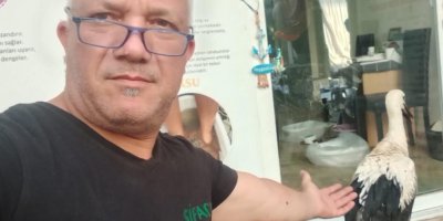 Yuvadan düşen leylek yavrusu doğaya salındı